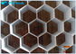 Facile matériel fort de structure en nid d'abeilles de décoration de rigidité élevée à installer et jeûner fournisseur