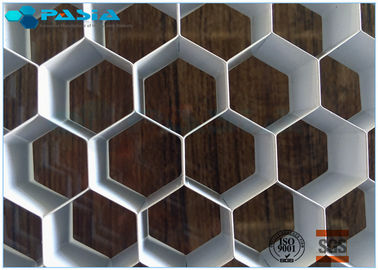 Chine conseil en aluminium d'âme en nid d'abeilles de taille de 12mm pour l'écran plat audio d'industrie fournisseur